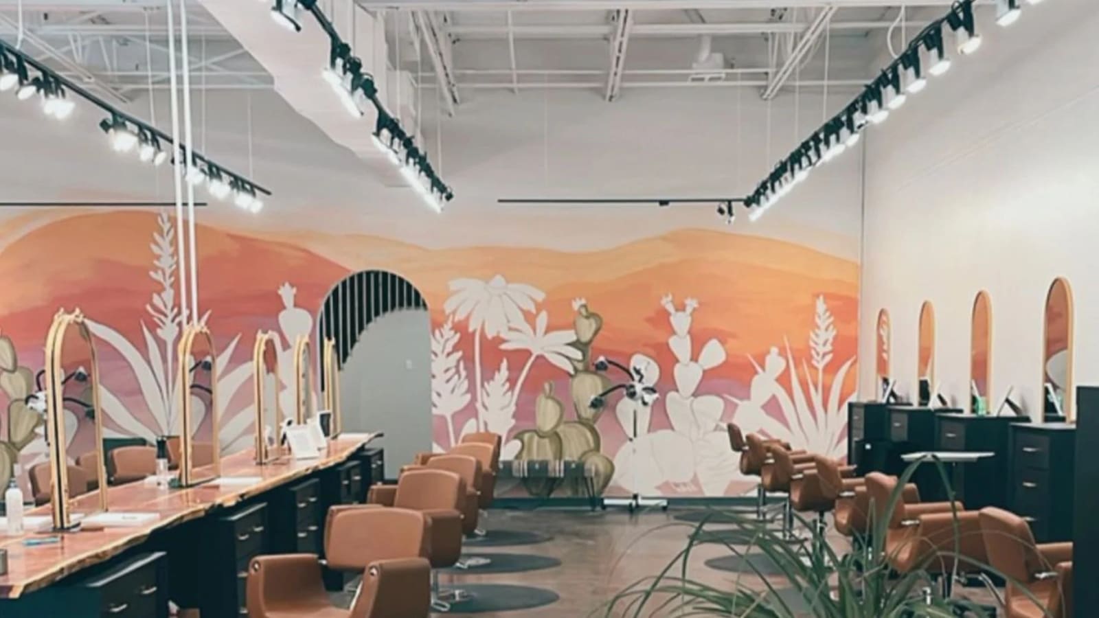 Inside the bex+Co.® Barton Hills salon